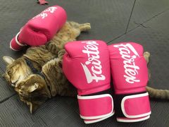 -FIGHTMAN格斗俱乐部(长宁临空店)