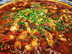 -新概念来凤鱼(璧山店)