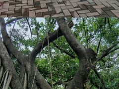 -人民公园(罗湖区)