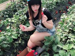 -小鱼草莓采摘园农家乐·小鱼餐厅