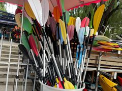 -WhaleSports户外水上运动俱乐部(朝阳公园店)