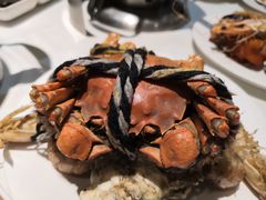 -五月罗马海鲜自助餐厅(陆家嘴店)