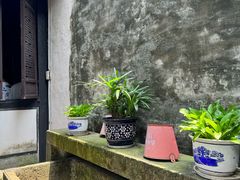 -绍兴鲁迅故里·沈园景区