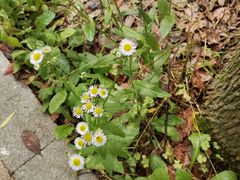 -昆山城市生态森林公园