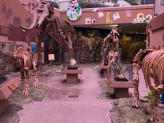 -陕西自然博物馆