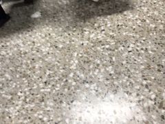 -首都医科大学附属北京同仁医院(西区)