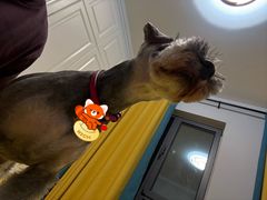 -心仪动物医院·牙专科·肿瘤·心脏科(西客站院)