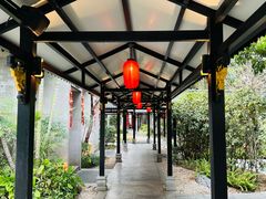 -侨美·唐荔园·40年地道粤菜