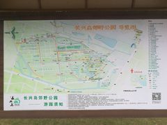 -上海长兴岛郊野公园