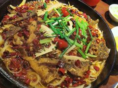 -老板恋上鱼(高新万达店)