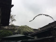 -星巴克臻选(成都宽窄巷子店)