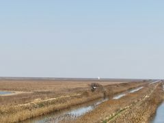 -盐城丹顶鹤湿地生态旅游区