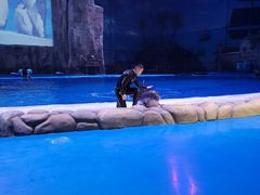 -华夏文旅海洋公园