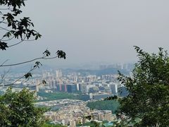 -火炉山森林公园