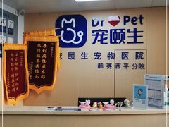 -宠颐生猫科·内科皮肤科(西平世纪城店)