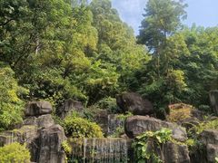 -广州神农草堂中医药博物馆