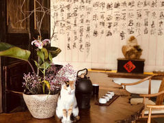 -厦门园林植物园-植物园滴水山房
