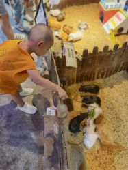 -酷嗒动物文化乐园(cutezoo西溪乐天城店)