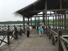 -溱湖国家湿地公园