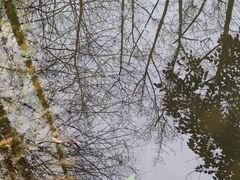 -桤木河湿地公园