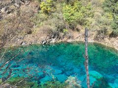 -叠溪松坪沟景区