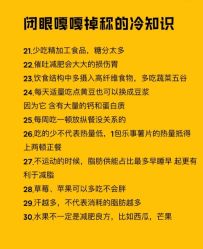 -Fundi张玉珊修身堂·indiba·BTL科技瘦身