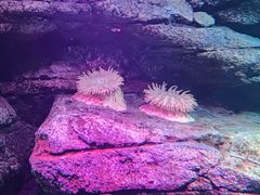 -沈阳海洋探索中心