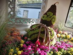 -杭州植物园