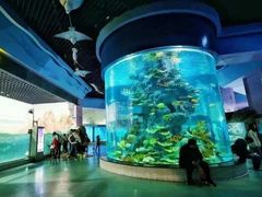 -福州罗源湾海洋世界旅游区