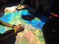 -珠海横琴国家地理探险家中心(创新方)