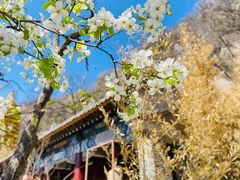 -天津盘山风景名胜区