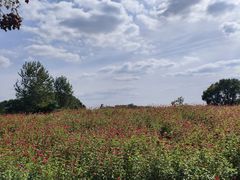 -嘉北郊野公园