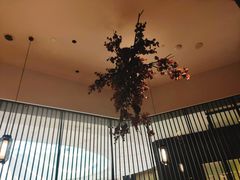 -大头椰·海南椰子鸡火锅(思明万象城店)