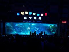 -泉城欧乐堡海洋极地世界
