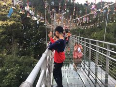 -九龙江国家森林公园