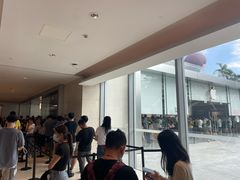 -Apple零售店(深圳益田假日广场店)