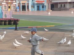 -沈阳方特欢乐世界