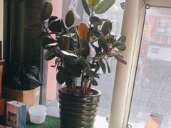 -惠友大虾(太原北街店)