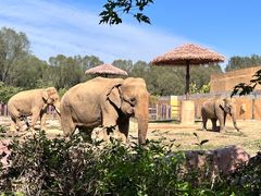 -沈阳森林动物园