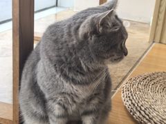 -Catmate·猫肥家润(金润铂宫店)