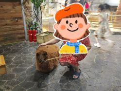 -Zoolung Zoolung动物主题公园(海信广场店)