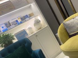 -欧扬医疗美容
