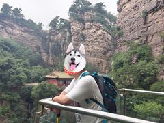 -苍岩山风景名胜区