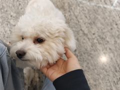 -吾悦广场(南京鼓楼店)