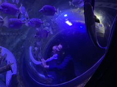 -成都浩海立方海洋公园