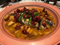 -柿合缘新京菜(国金中心商场店)