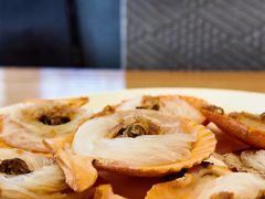 -地中海传奇水汇