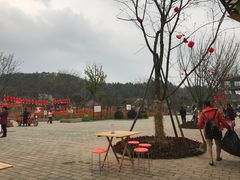 -绵阳盛世樱花悠乐谷