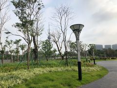 -文华公园(禅城区)