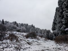 -武陵山森林公园